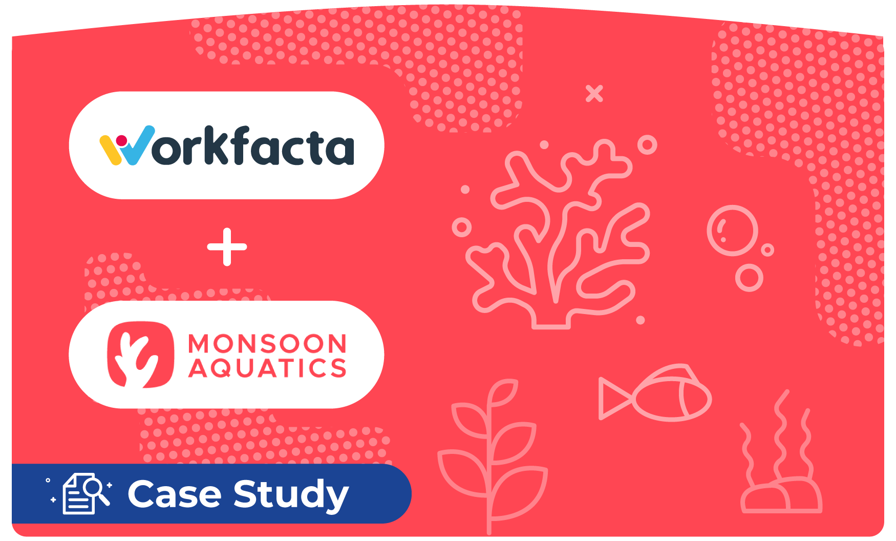 Monsoon Aquatics - Workfacta case study banner